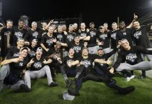 Yankees barren a Mellizos y van a disputar el título en la Liga Americana